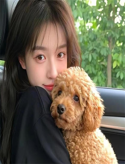 《杨六郎智破连环计》色彩运用独家解析：色调选择与情绪表达分析