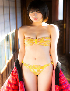 川西剿匪记