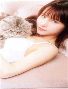 板野友美av-叶子湄
